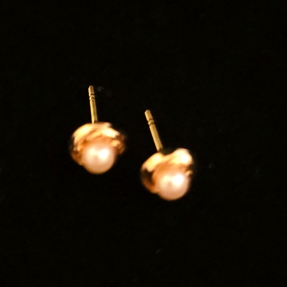Ladies hypoallergenic earrings
